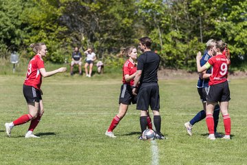 Bild 23 - F SG NieBar - IF Stjernen Flensborg : Ergebnis: 2:0